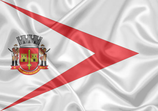 Imagem da Bandeira Buri