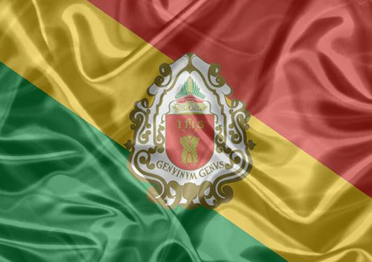 Imagem da Bandeira Embu