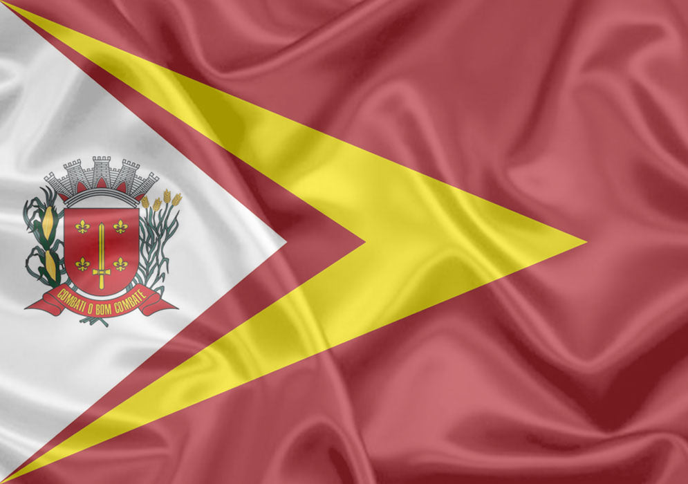 Imagem da Bandeira General Salgado