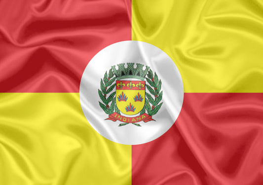 Imagem da Bandeira Indiana