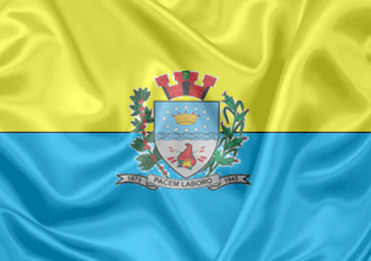 Imagem da Bandeira Irapuã