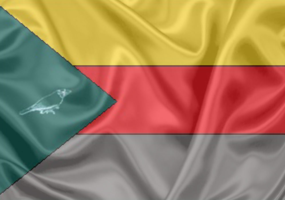 Imagem da Bandeira Irapuru