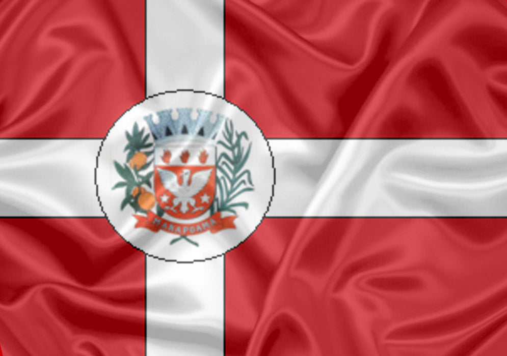 Imagem da Bandeira Marapoama