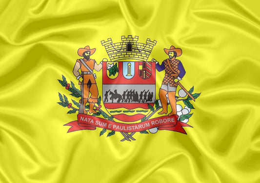 Imagem da Bandeira Mogi Mirim