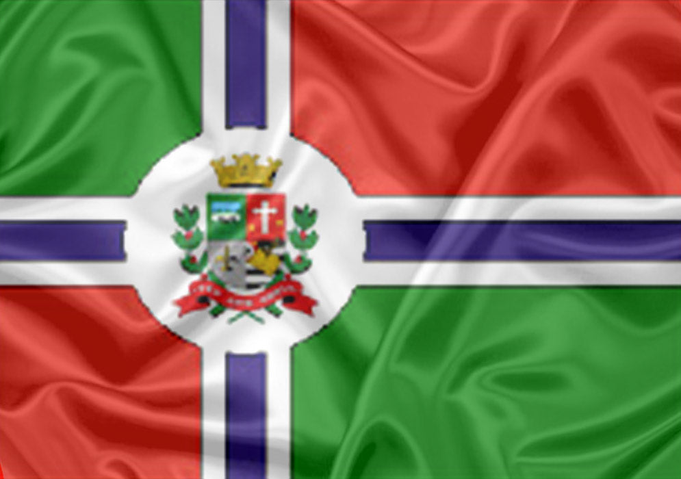 Imagem da Bandeira Monteiro Lobato