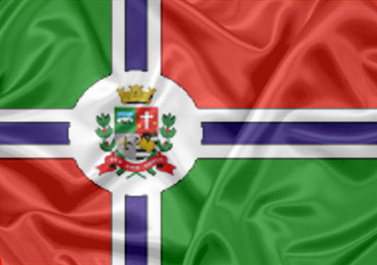 Imagem da Bandeira Monteiro Lobato