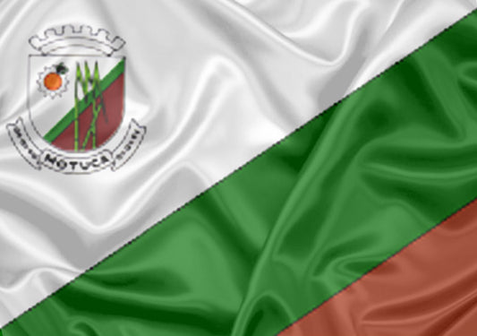 Imagem da Bandeira Motuca