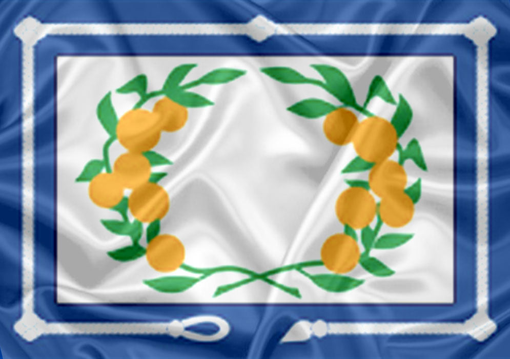 Imagem da Bandeira Narandiba