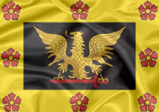 Imagem da Bandeira Olímpia