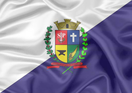 Imagem da Bandeira Osvaldo Cruz