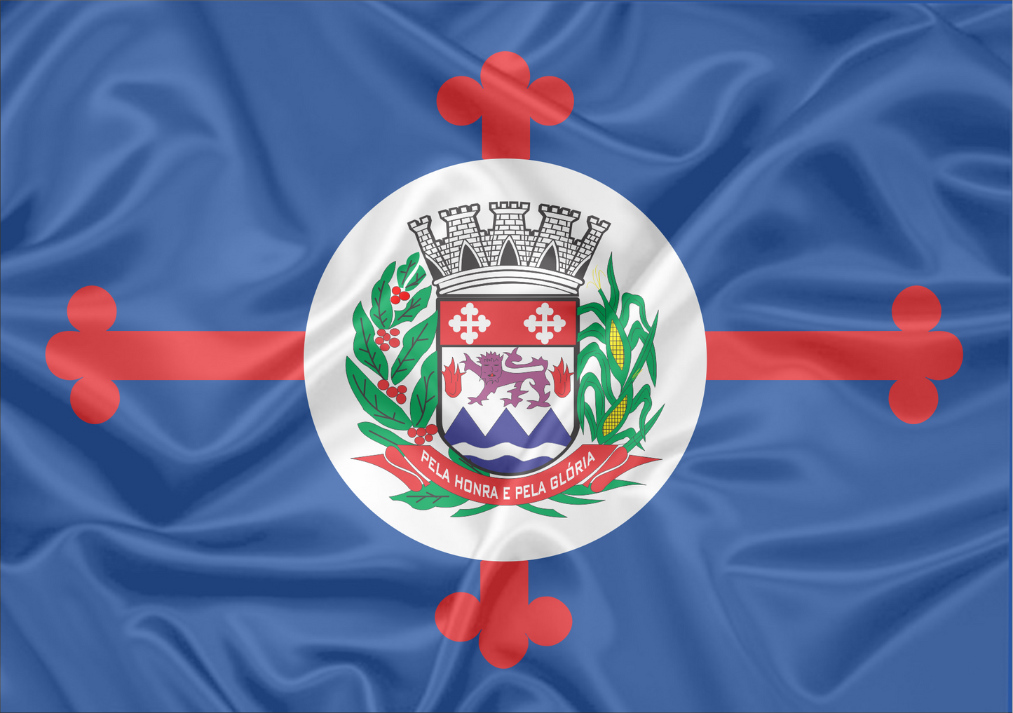 Imagem da Bandeira Pardinho