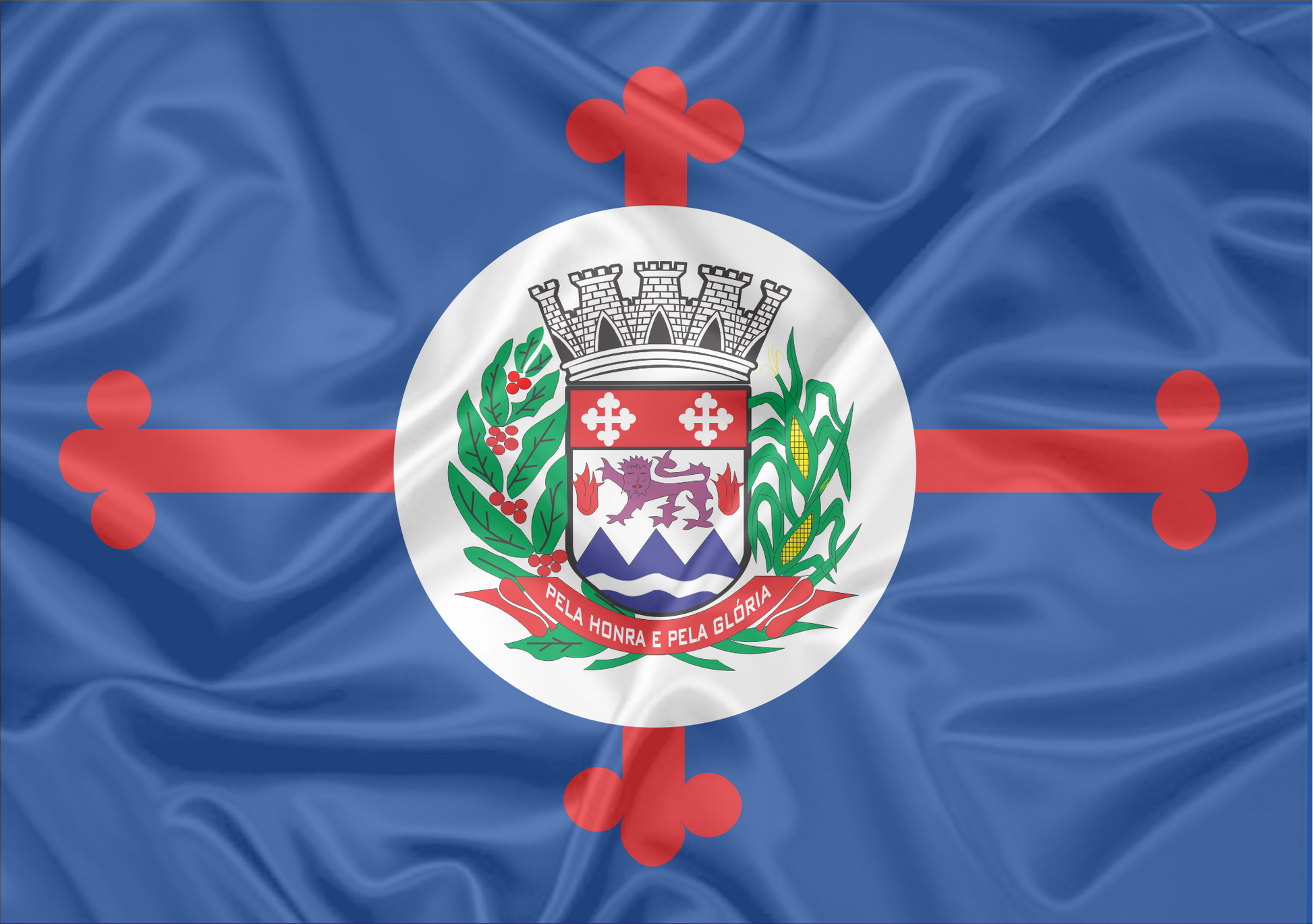 Imagem da Bandeira Pardinho