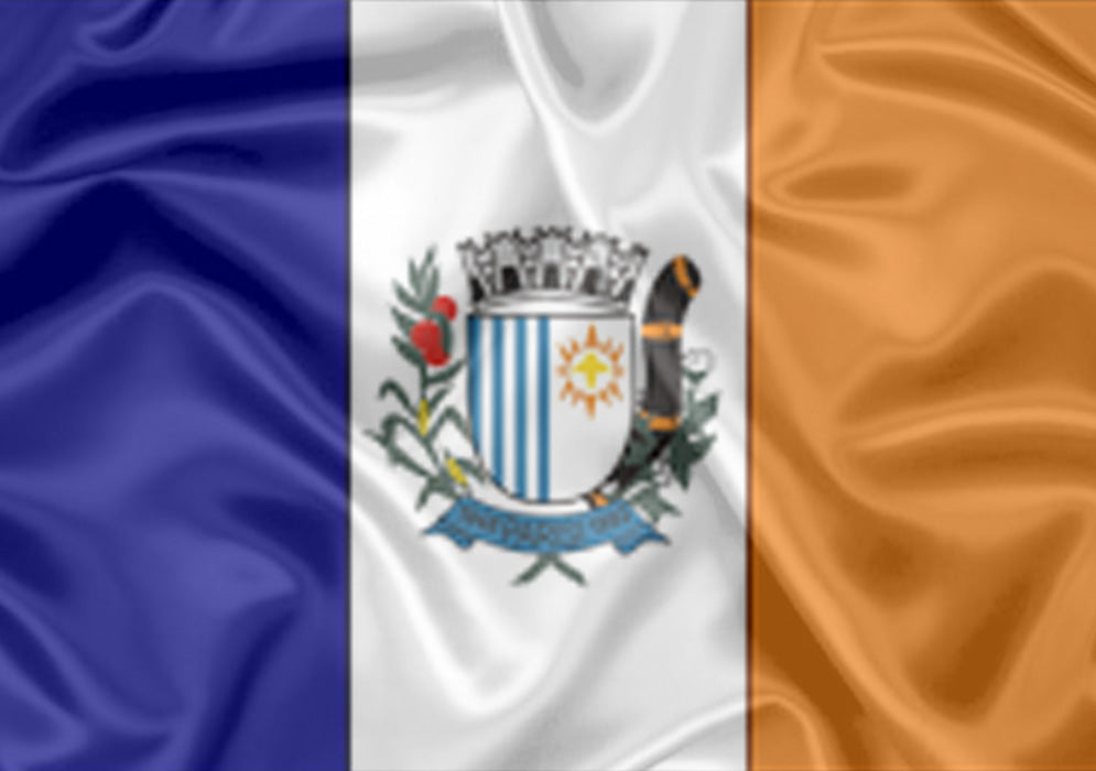 Imagem da Bandeira Parisi