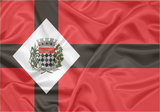 Imagem da Bandeira Paulicéia