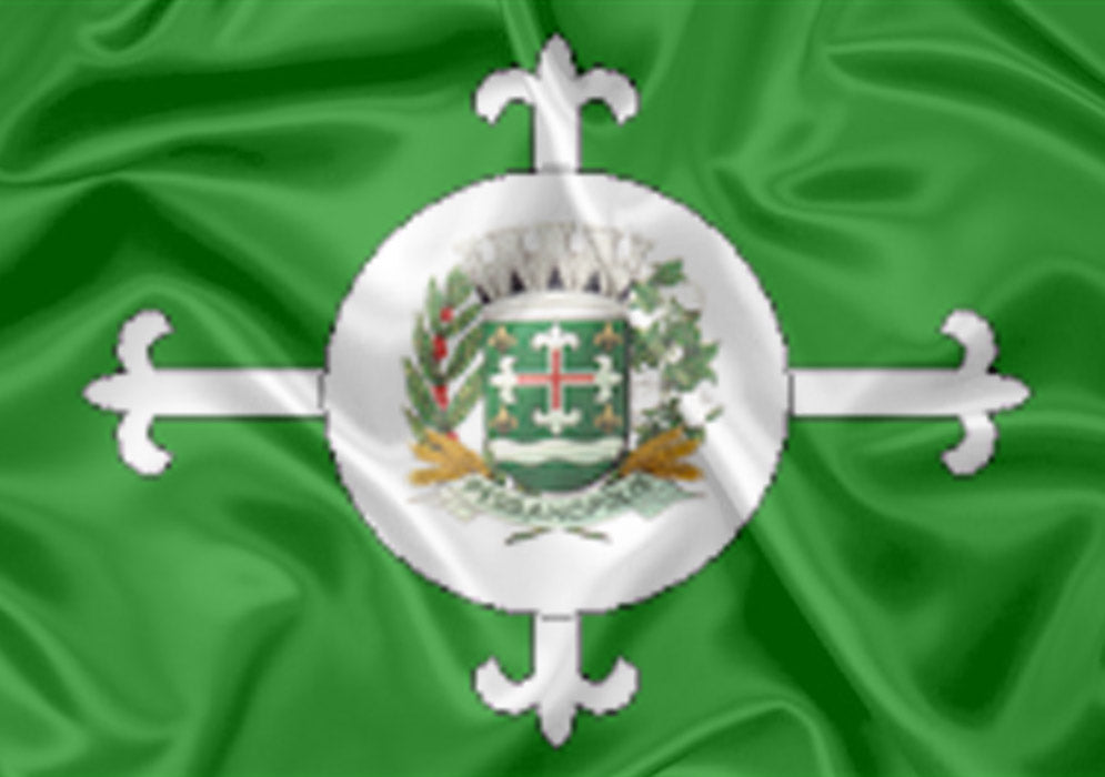 Imagem da Bandeira Pedrinópolis