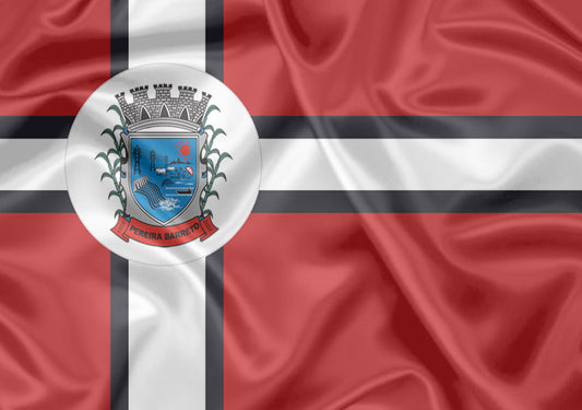 Imagem da Bandeira Pereira Barreto