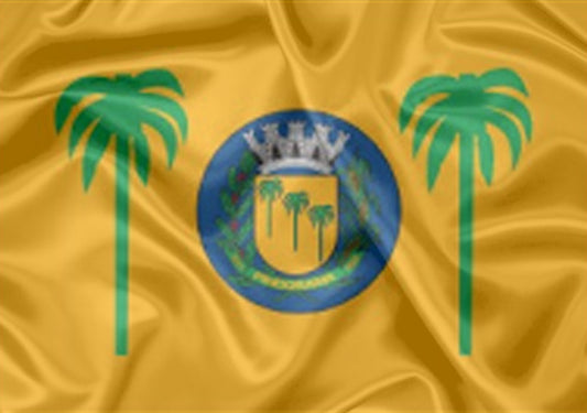 Imagem da Bandeira Pindorama