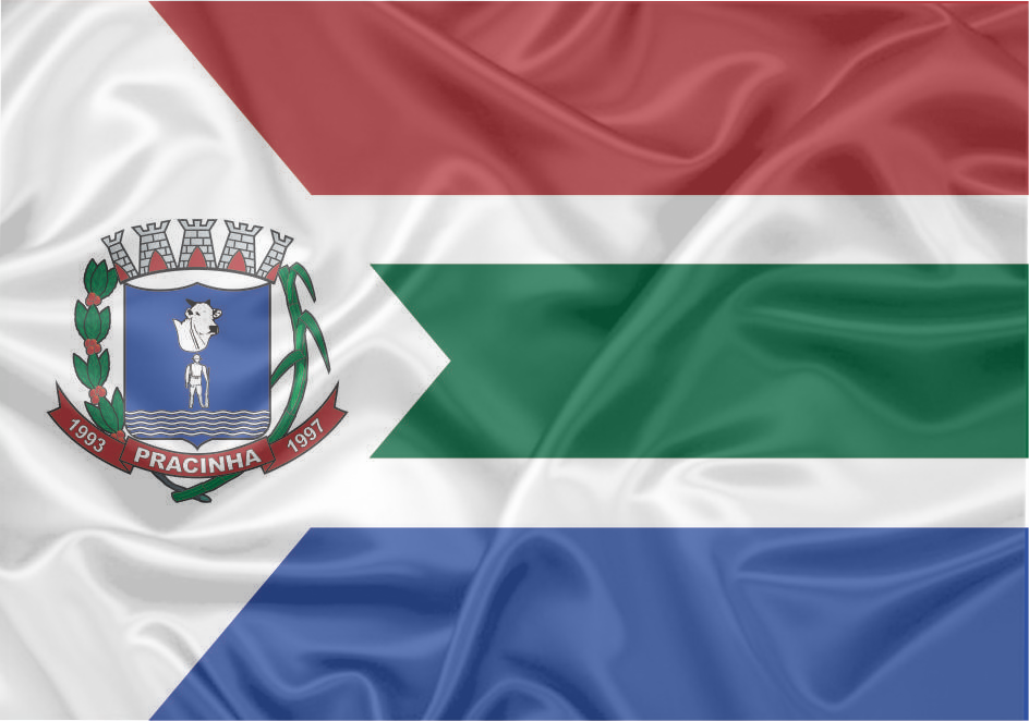 Imagem da Bandeira Pracinha