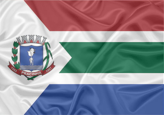 Imagem da Bandeira Pracinha