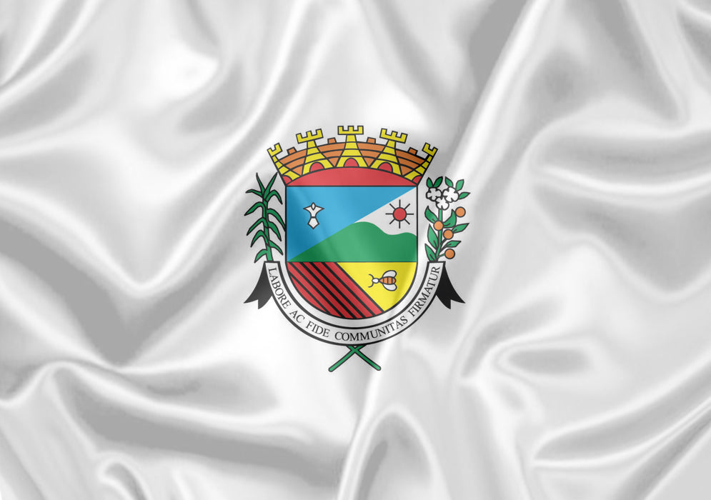 Imagem da Bandeira Santo Antônio de Posse